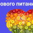 xb8f555tbxuuwxjz2jvkj17xmgke2fs4.png - Газета Приобвинский край