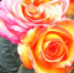 sUDA4HQD-VfhprUwdxv3yRHkFdoJFKpLo515QrHg7EwFr4Y7BYjXeDF6IEnjb8T34hq_OPOTht65WeaT6omE4vNo.jpg - Газета Приобвинский край
