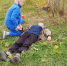 attachment (10).jpeg - Газета Приобвинский край